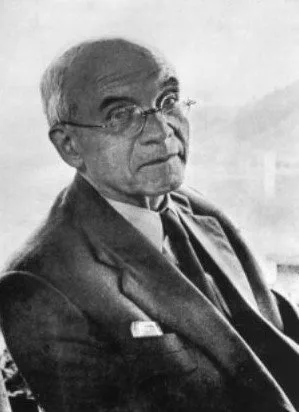 Fehim Bajraktarević